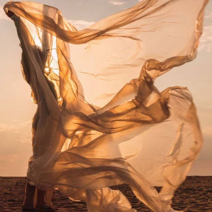 We Are Done Healing ⏤ We Want to Feel Something.